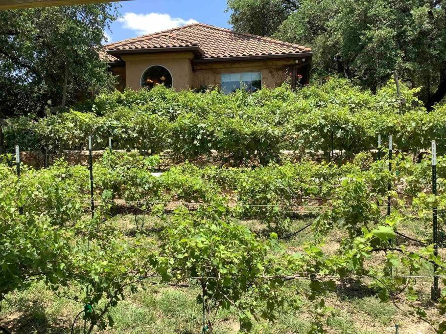 Villa At Cibolo Chase, A Private Resort With Pool Bulverde 外观 照片